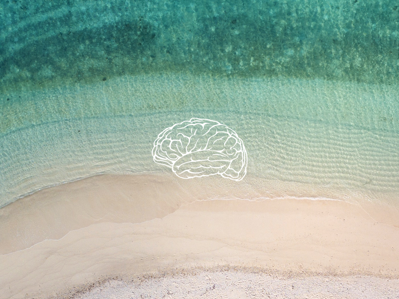 mind happiness