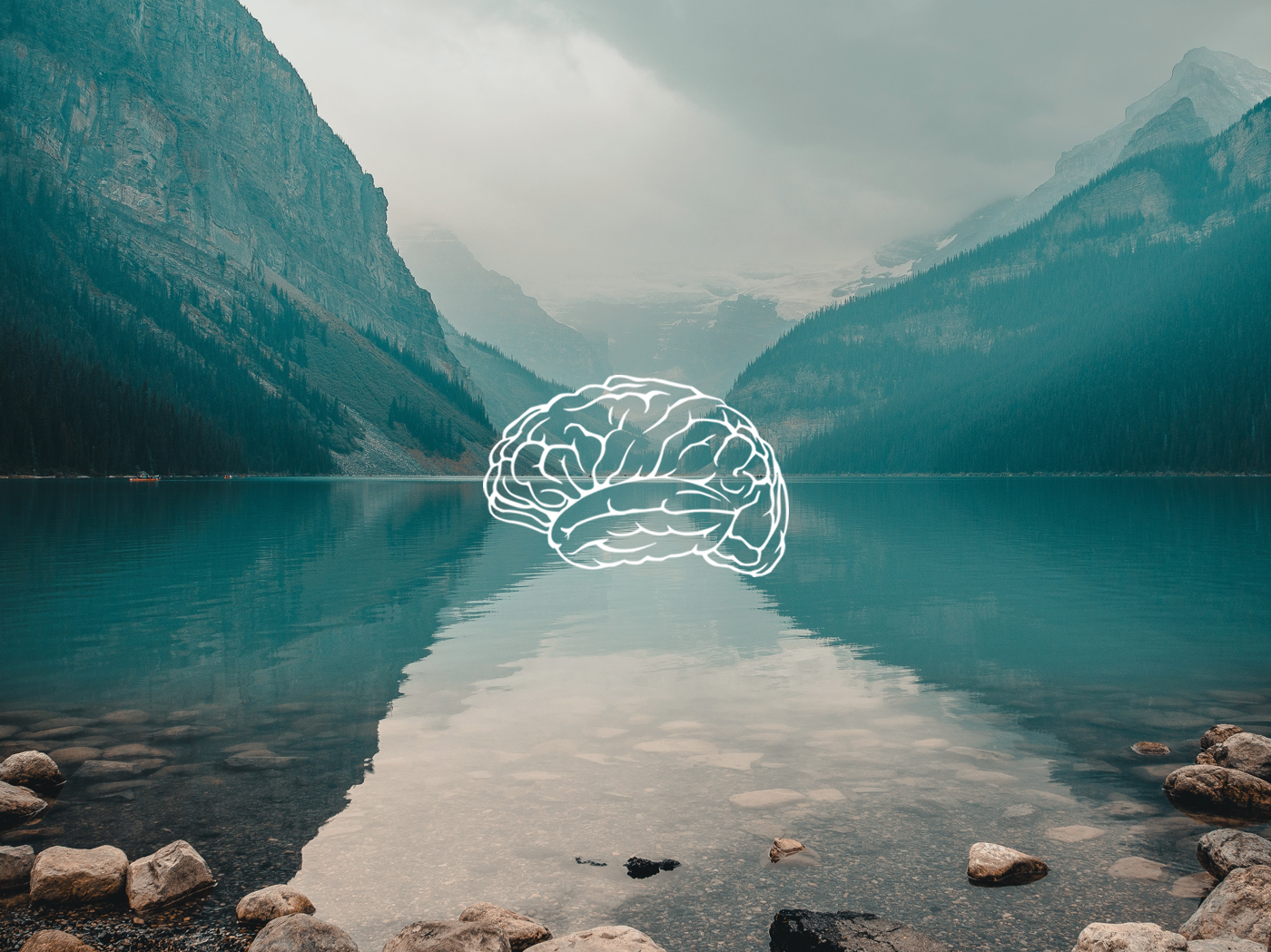 Mind Health