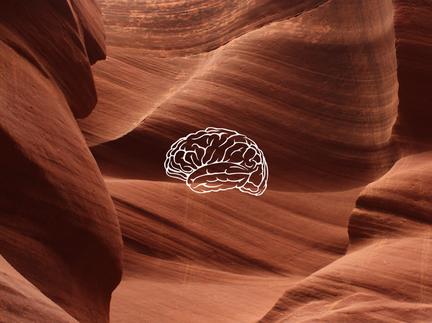 mind purpose