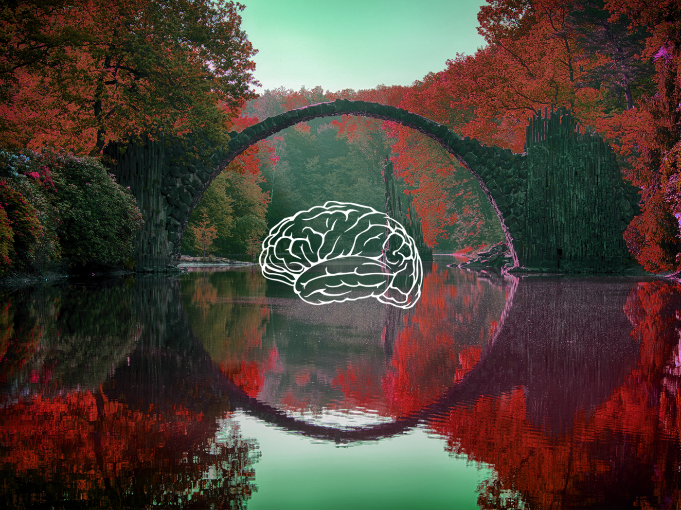Mind Self-Care